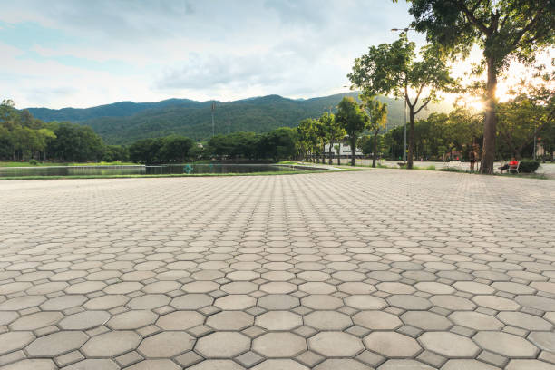 Best Professional Driveway Pavers  in Mustang Ridge, TX